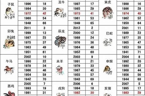 2002五行属什么|2002年属什么生肖 2002年属什么的生肖